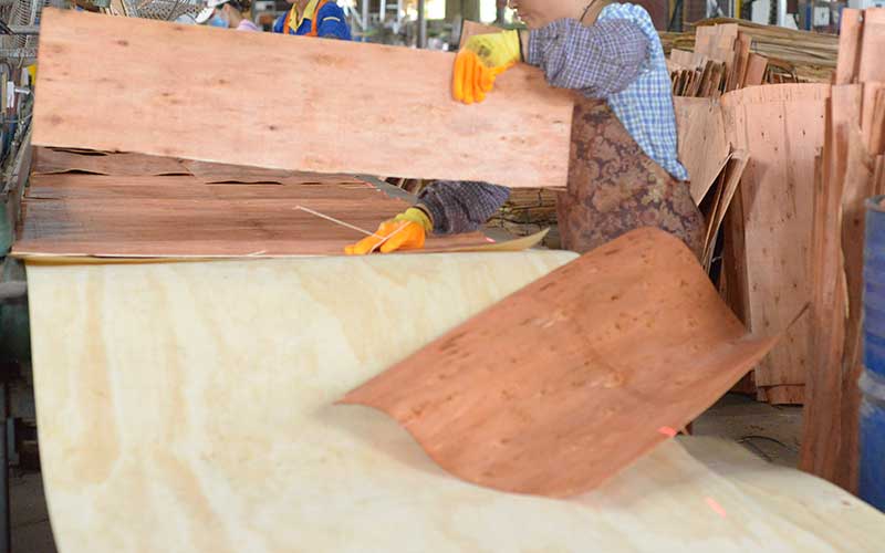 建筑模板種類：松木桉木和楊木的區別